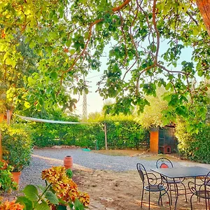  Casa vacanze La Casina Italia